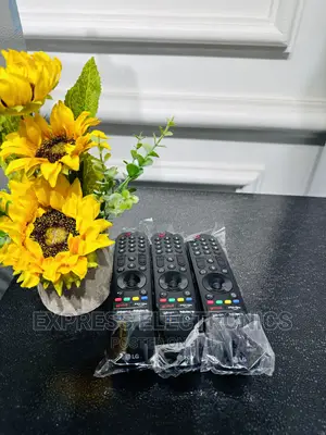 Quality Skeek Magic Remote Control