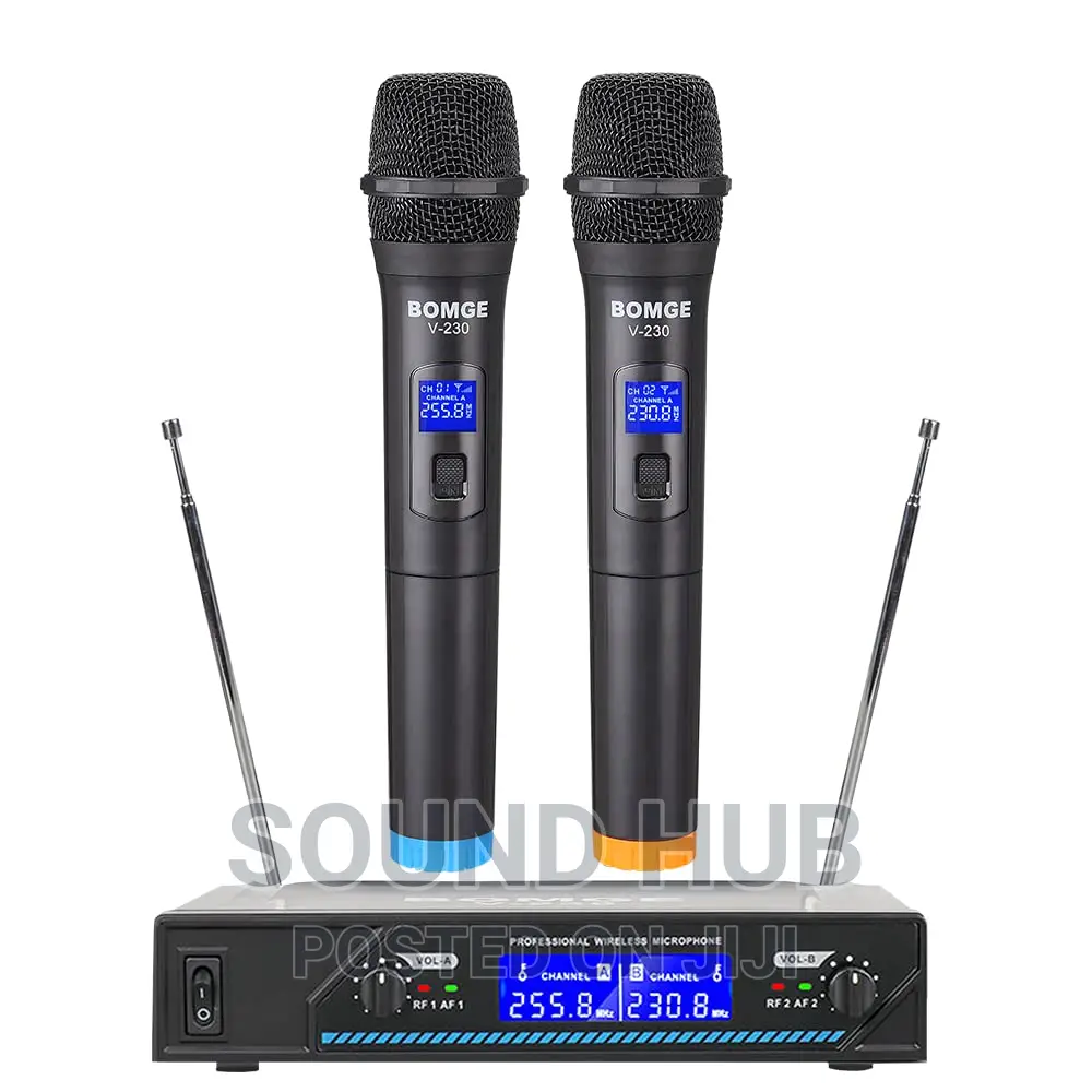 Bomge Professional Wireless Microphone