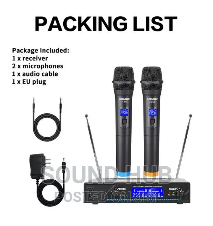 Bomge Professional Wireless Microphone