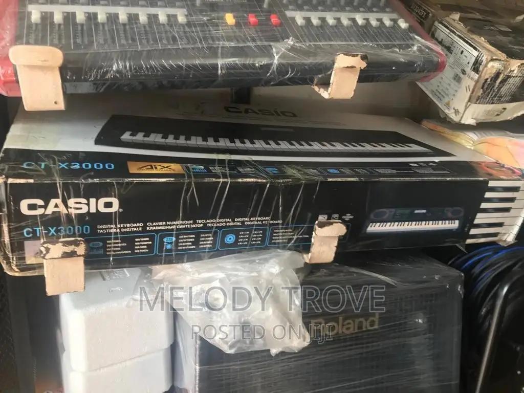 Casio Ct-X3000 Keyboard Arranger(61-Keys)
