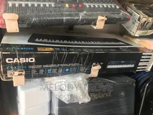 Casio Ct-X3000 Keyboard Arranger(61-Keys)