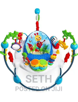 Baby Einstein Neighborhood Symphony Activity Jumper Infant