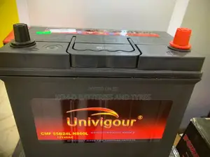 13 Plates Univigour Battery 12 Volts