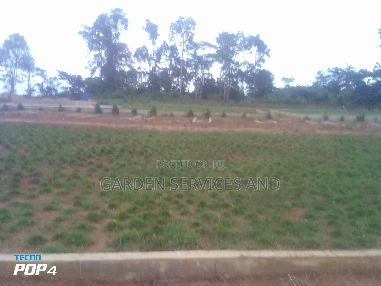 Call for Your Garden and Landscaping Project