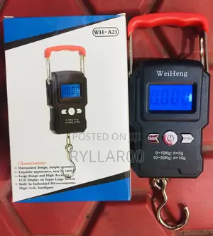 Professional Luggage Scale 50KG