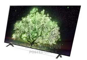 Fast and Effective LG(65”)OLED65A1PVA OLED Smart Tv 