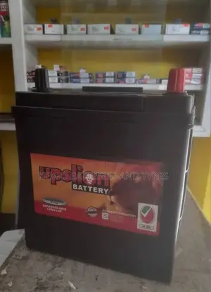 11 Plates Upslion Batteries