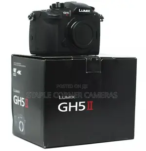 Panasonic Lumix GH5 II Mirrorless Camera With 12-60mm Lens