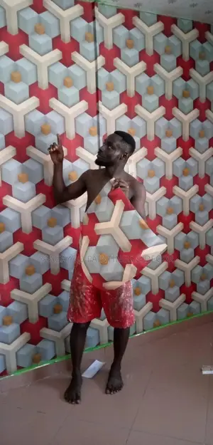 Excellent Painter and Wallpaper Installer.
