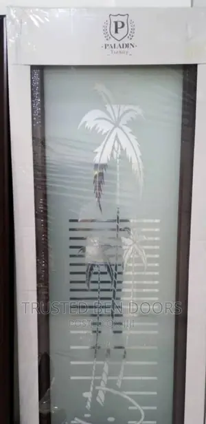 All Black Turkish Glass Paladin Bathroom Doors
