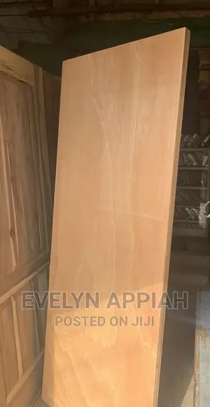 Flush Door