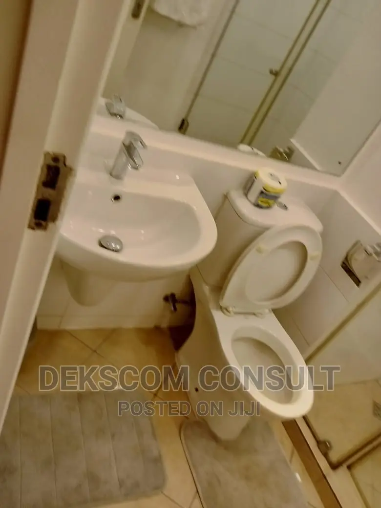 Furnished 1bdrm Apartment in Cantonments for rent