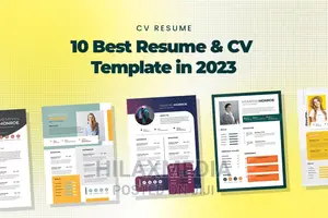 Professional CV or Resume Design Services