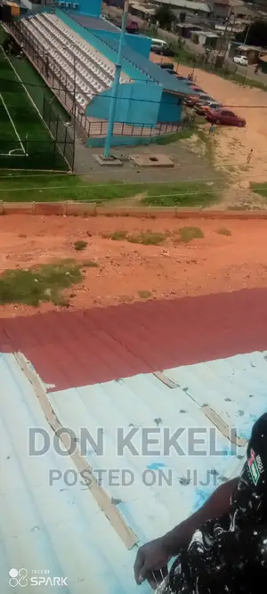 Roof Painting Not Excluded