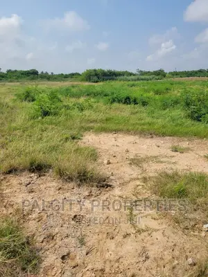 100 Acres of Farm Land for Sale at Kumawu Area