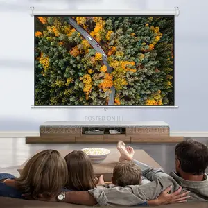 Newly in Stock Projector Screen With Remote Control 