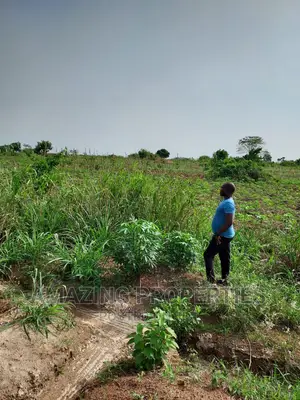 50 Acres of Land for Sale at Juapong