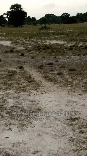 10 Plots of Land for Sale at Tsopoli