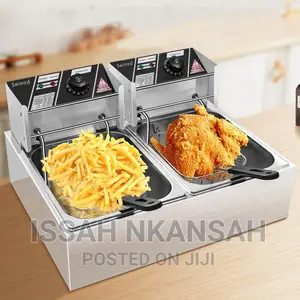 Electric Deep Fryer