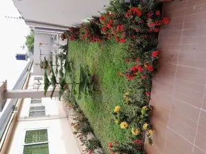 5bdrm Maisonette in Ofankor for rent