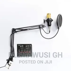 BM 800 Condenser Microphone Set With V8 Sound Card