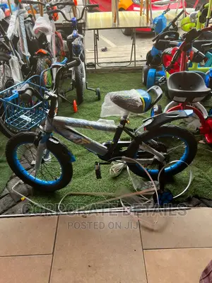 Bicycle (Kids) 2-4 years