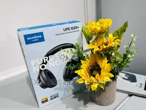 Unless Your Inner Pop With Sound Core Q20+
