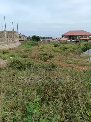 1 Plot of Land for Sale at Tseaddo