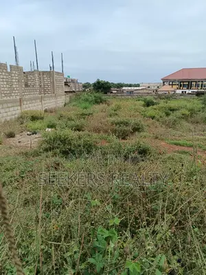 1 Plot of Land for Sale at Tseaddo