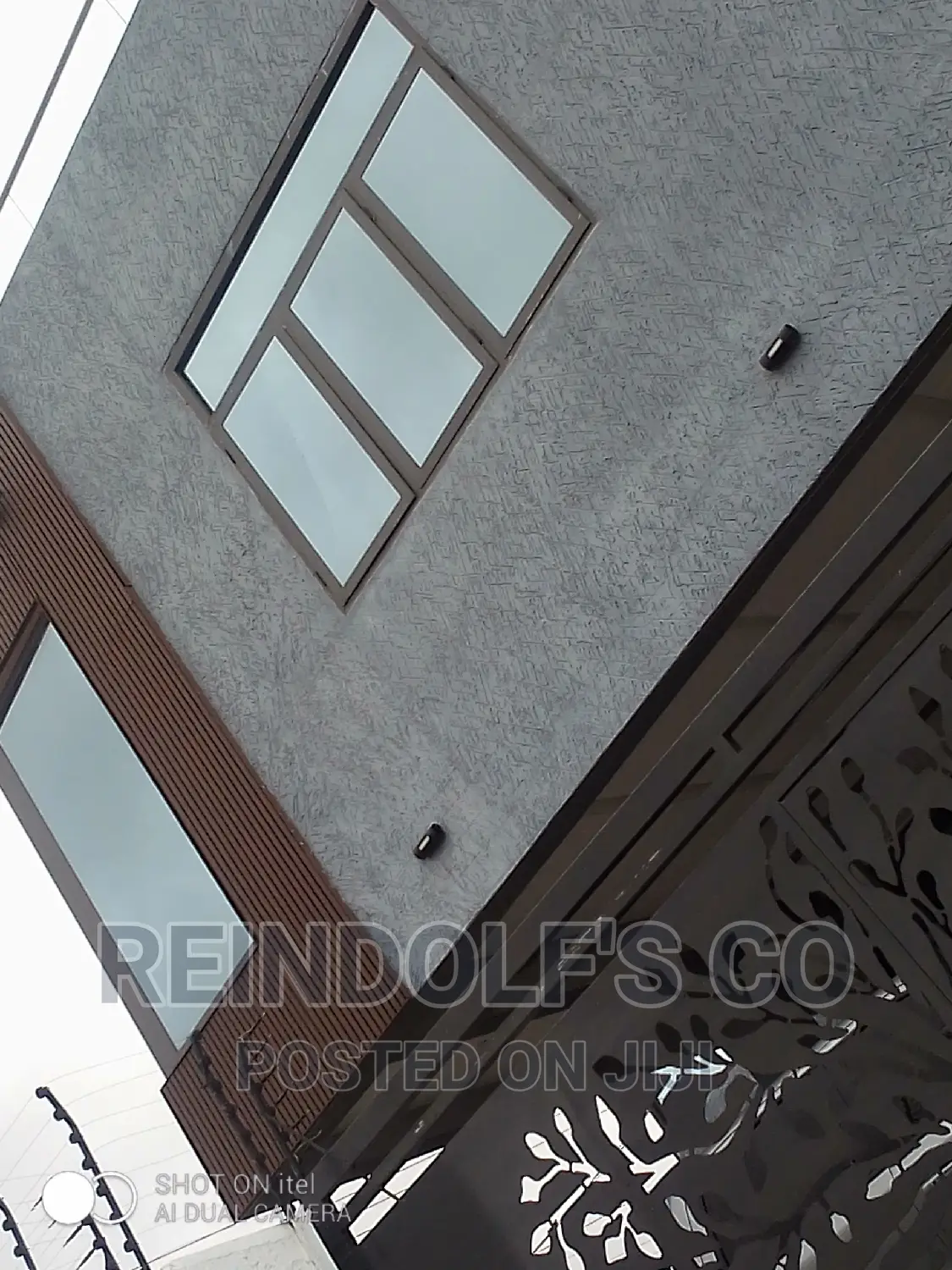 Professional Painting/ Skimming/Pop