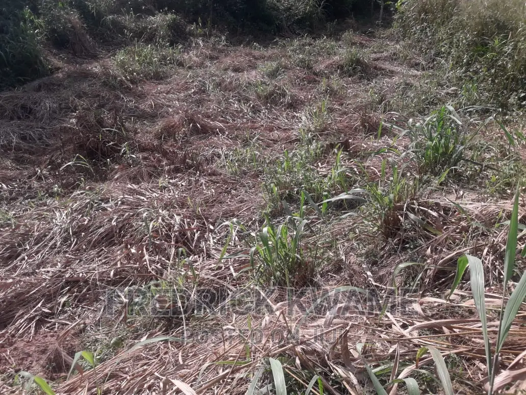 100x45 Plot of Land for Sale at Santasi Kotwi Kyekyewere