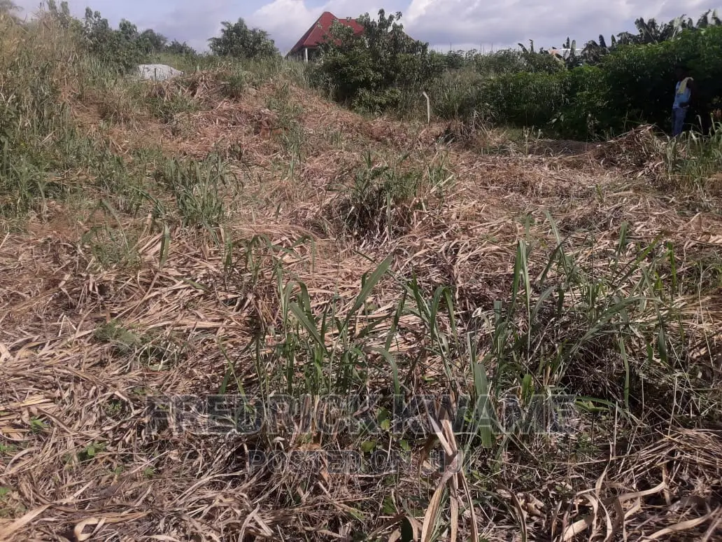100x45 Plot of Land for Sale at Santasi Kotwi Kyekyewere