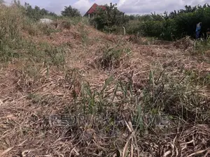 100x45 Plot of Land for Sale at Santasi Kotwi Kyekyewere