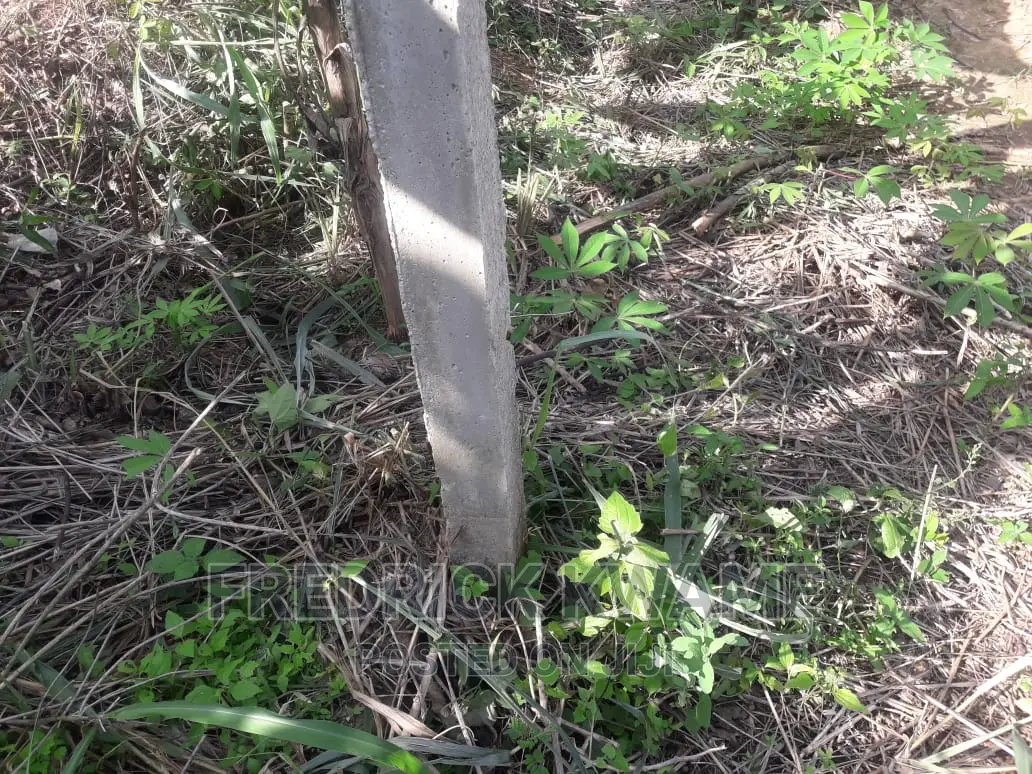 100x45 Plot of Land for Sale at Santasi Kotwi Kyekyewere