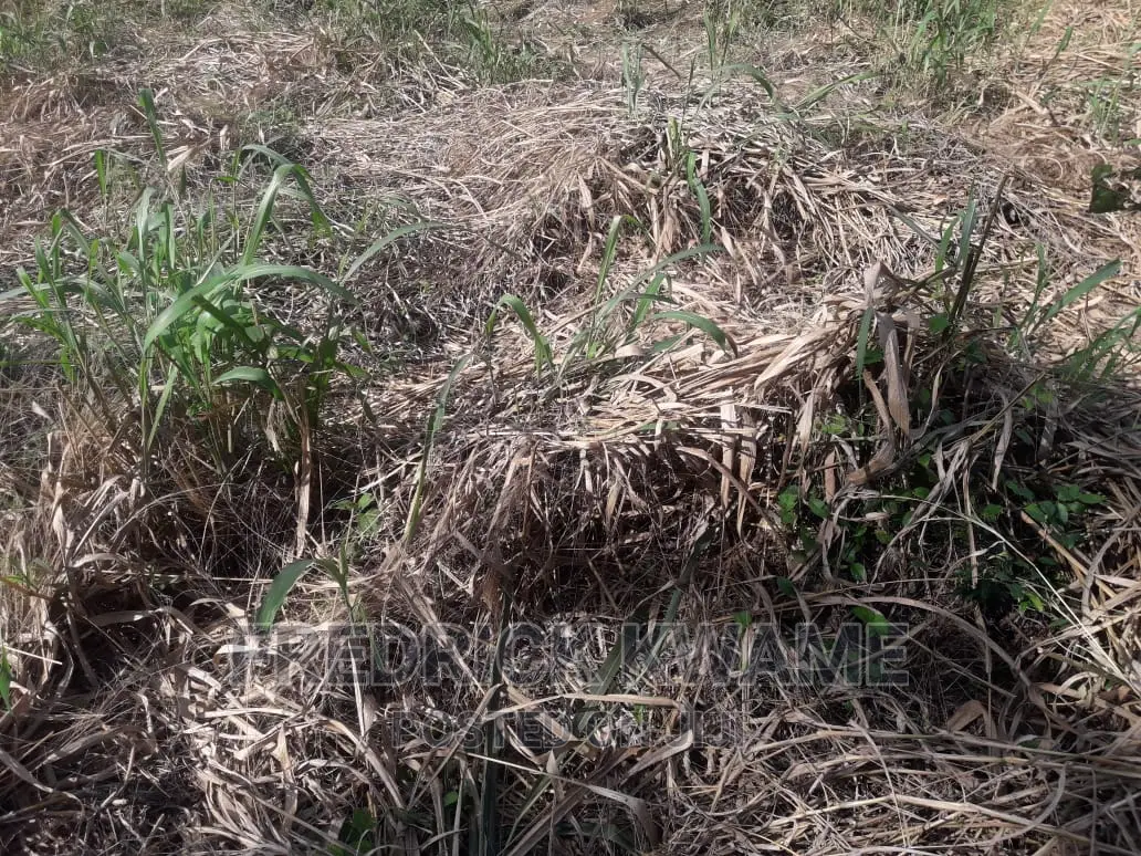 100x45 Plot of Land for Sale at Santasi Kotwi Kyekyewere