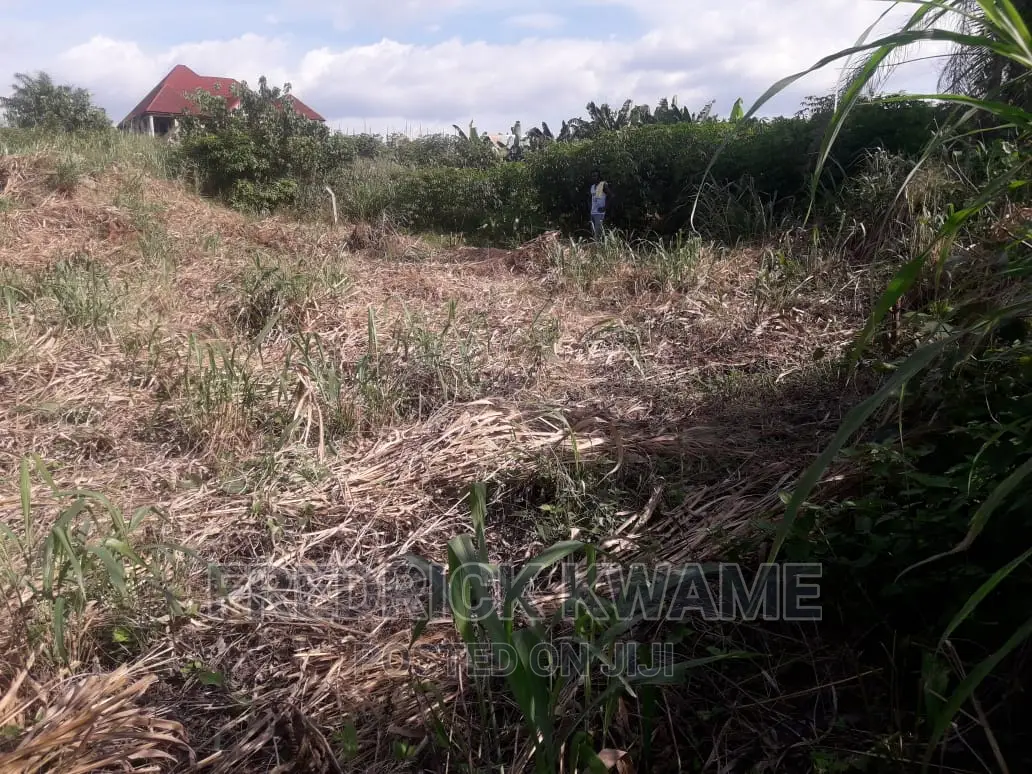 100x45 Plot of Land for Sale at Santasi Kotwi Kyekyewere