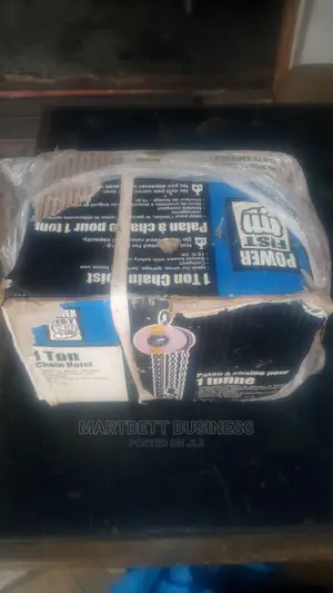 1 Ton Chain Block
