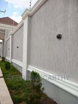 Durable Anti-Damp Graffiato Texture Paint