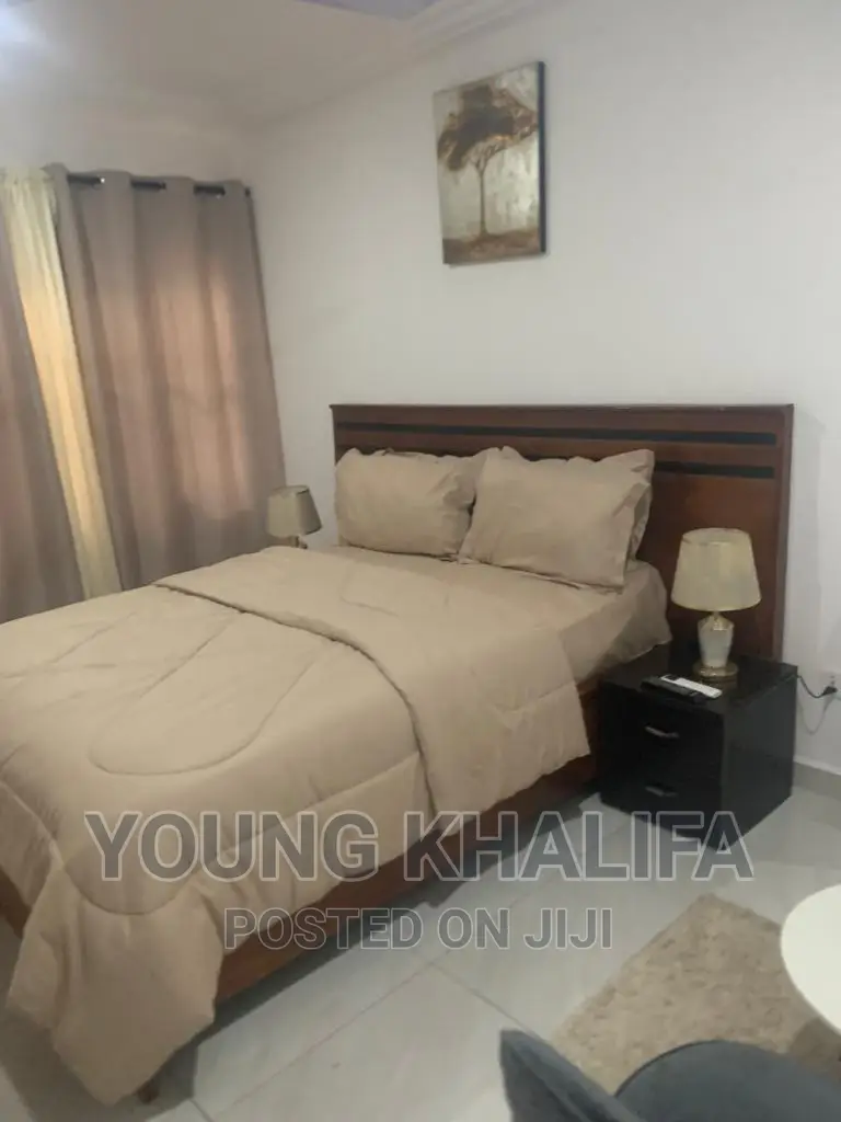 Furnished 1 Bedroom Studio Apartments for Rent East Legon