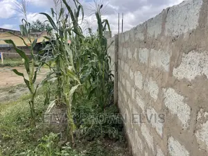 Buy Land at East Legon Santeo or NMIADJORN