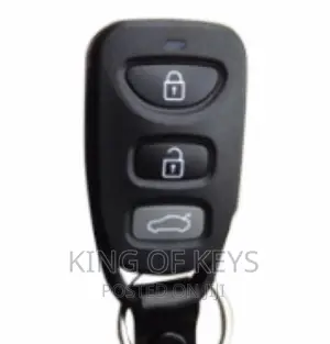 Kia/Hyundai Key With Separate Remotes