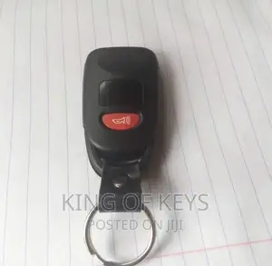 Kia/Hyundai Key With Separate Remotes