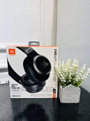 Quality Yet Affordable Headphones  JBL 660