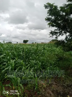 Farm Land for Sale or Login Lease