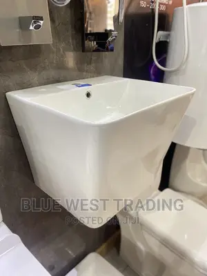 Wall Hung Washand Basin