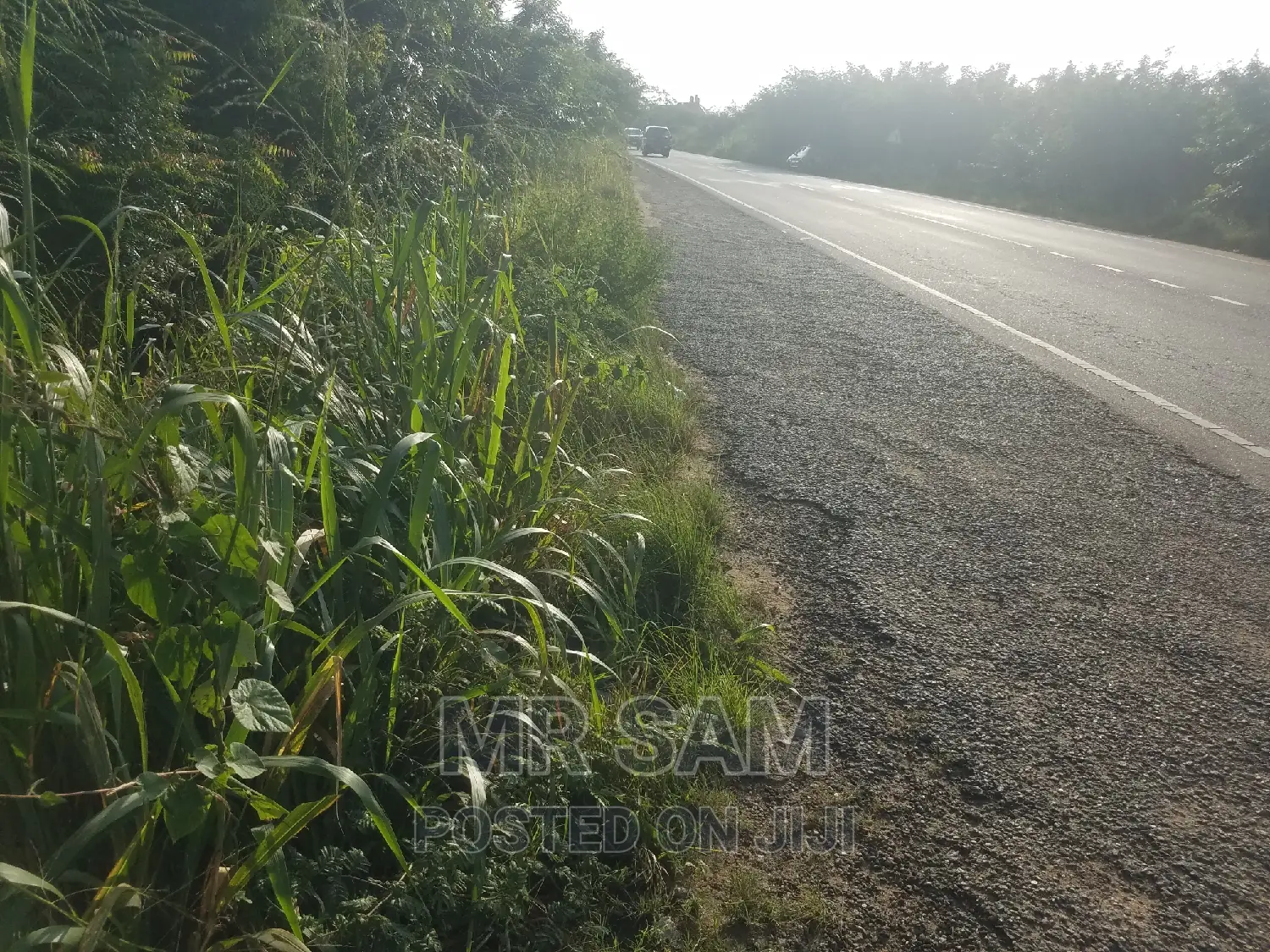 1plot of Land for Sale Winneba Road