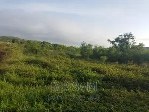 1plot of Land for Sale Winneba Road