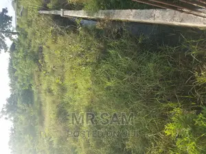 1plot of Land for Sale Winneba Road