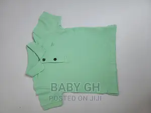 Original Next Uk Light Green Polo Top