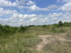 Exchange a Car With a Plot of Land 4 Sale at West Trasacco